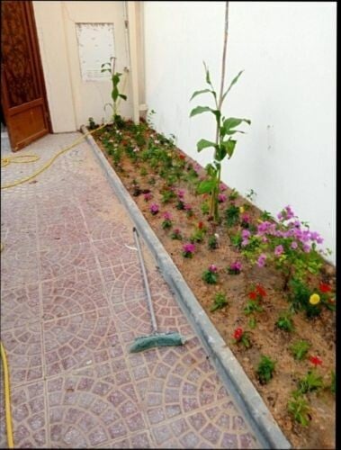 حوض زراعه