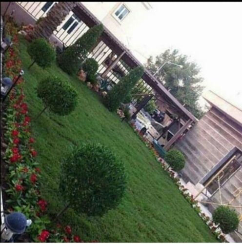 زراعه