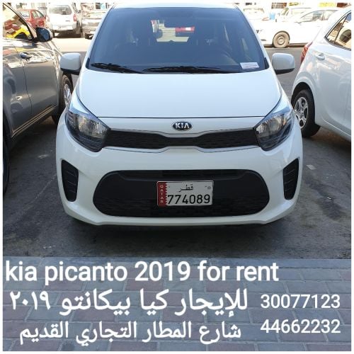 kia picanto for rent
