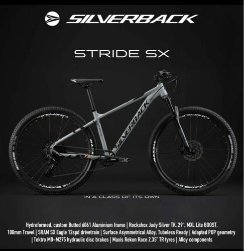 Silverback Stride 29HD9 