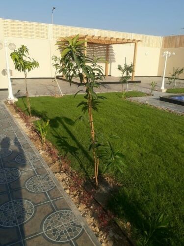 زراعه