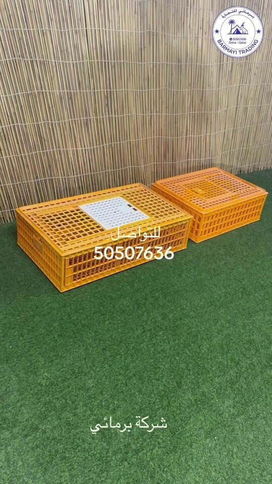 source sale Bird Transport Cages