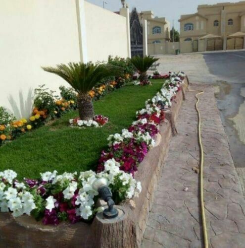 ديكور الحدائق