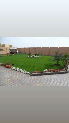 زرررراع