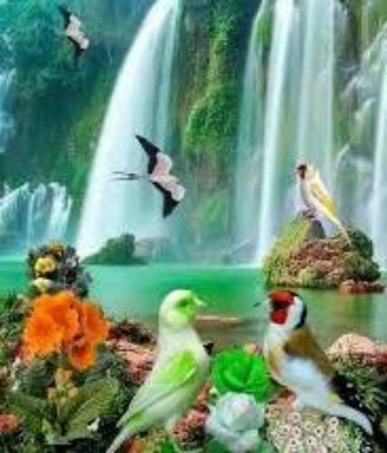 مدرسة دروس خصوصية