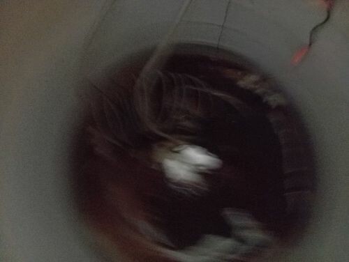 تنظيف وتطهير