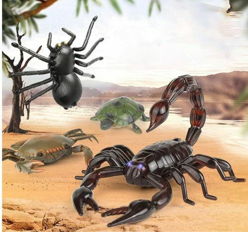 scorbio