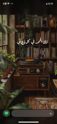 وظيفه سايقه