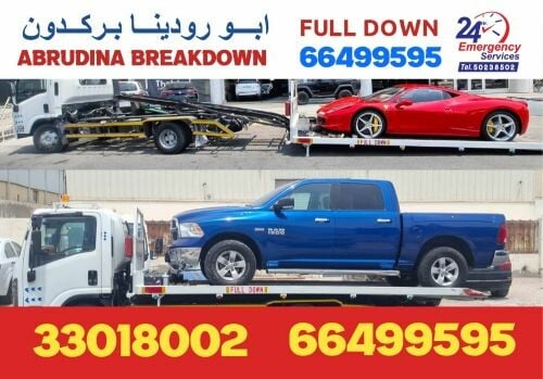 بركدون سطحه