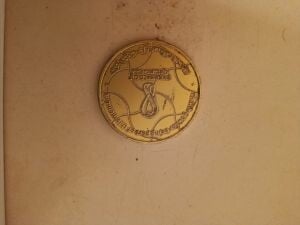 FIFA Commemorative Coin,(single)