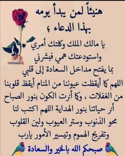 ام جود
