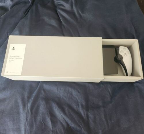 PlayStation 5 portal