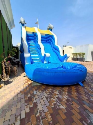 نطاطية دولفين