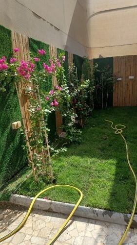 عشب واشجار الجهنمية الزينه