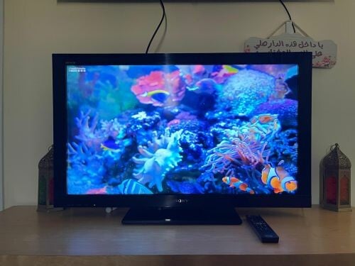 Sony Bravia TV