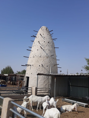مسابح وابراج حمام
