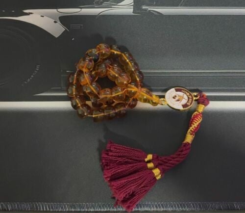 مسباح كهرم حشري 