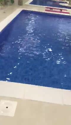 عمل برك سباحه وصيانة 