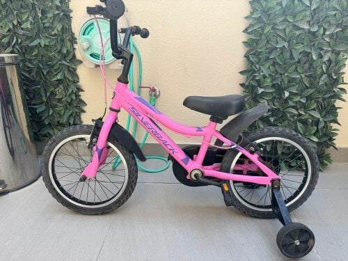 two bicycle for sale