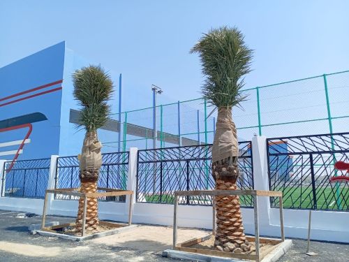 تنظيف ورش وبيع النخيل