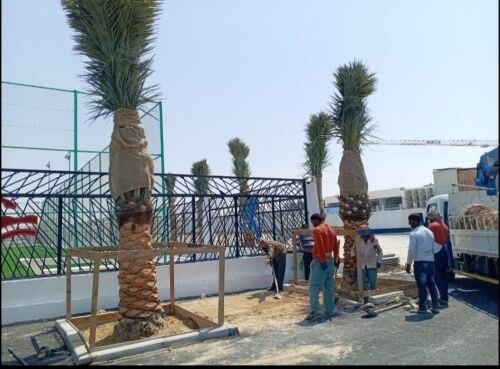 شركة زراعيه