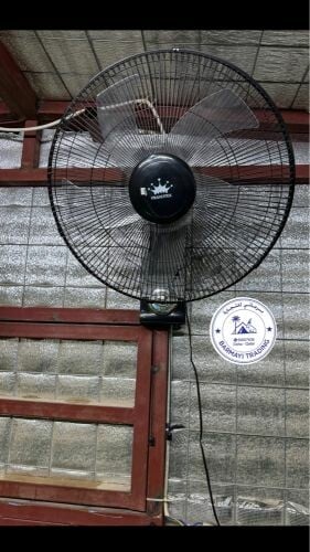 Wall-mounted fans available.