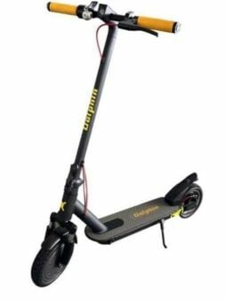 EE SCOOTER 36 v 