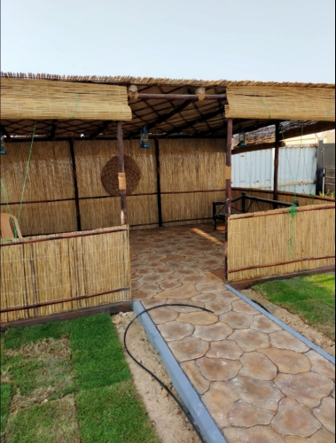 عرشه