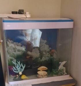 للبيع حوض سمك مستعمل