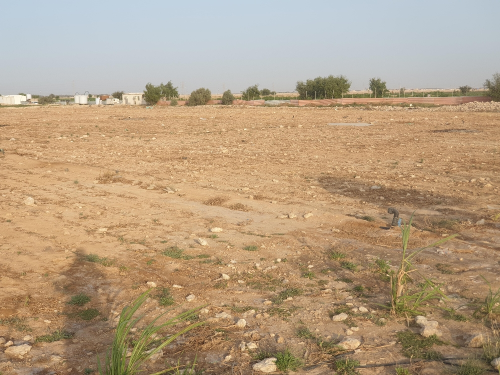 مزرعه للايجار