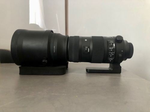 sigma sport 150-600