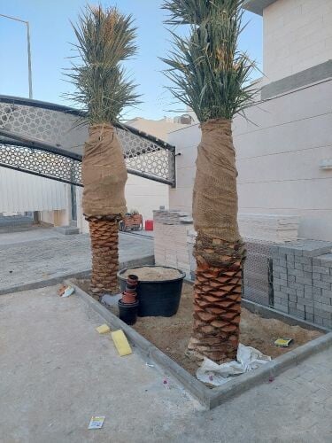شركة زراعيه