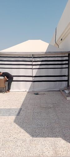 شاهين