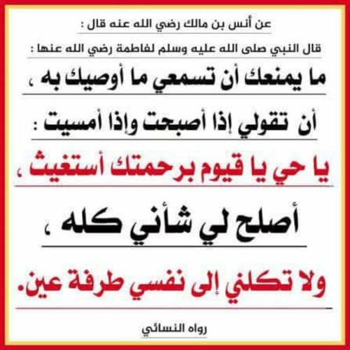 استاذه نوره