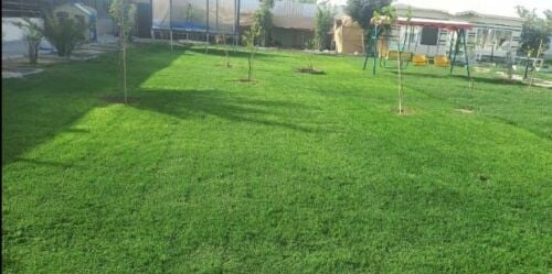 صيانه الحدائق