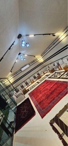 خيمة الصقور