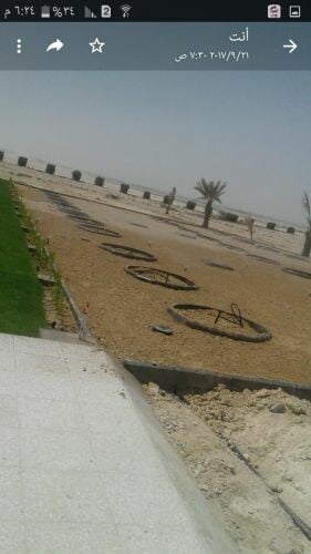 زراعه العشب الطبيعي
