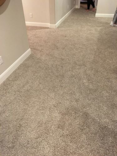 carpet