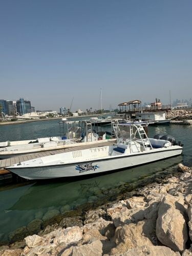 31ft twin yamaha 200 twostroke