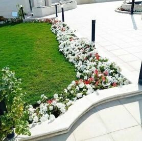 زراعه وتنسيق الحدائق 