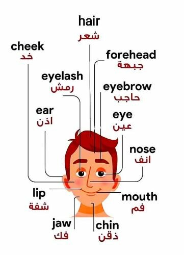 مدرسة للغه عربيه