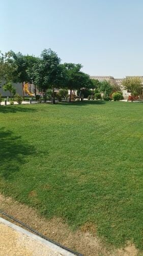 ترتيب الحدائق