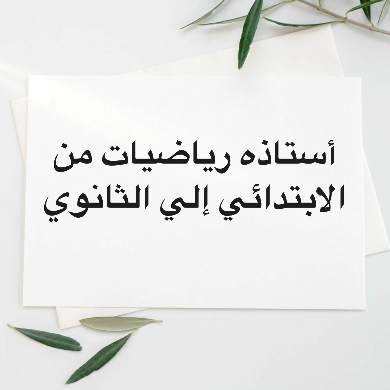 Ms.Mram