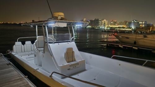 Balhambar 36 feet Two 300 Mercury