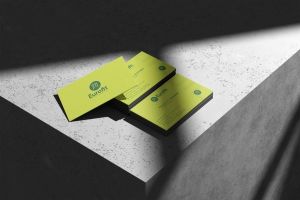 Senior Graphic & Brand Designer