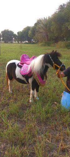 للايجار بوني للاطفال