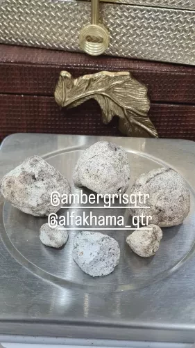 عنبر الحوت