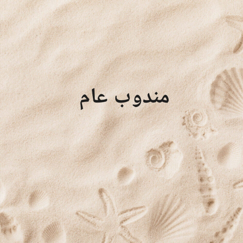 مندوب عام