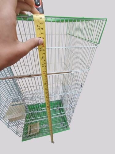 Big Bird Cage