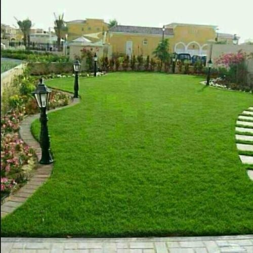 Garden coordinator and designer